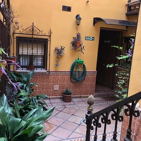 Appartement Estudio De 50m2, Todo Exterior Y Con Patio, Ideal Parejas, Familias Con Ninos Pequenos Y De Largas Estancias, Con Techo Abuhardillado Y De Mejores Vistas De *