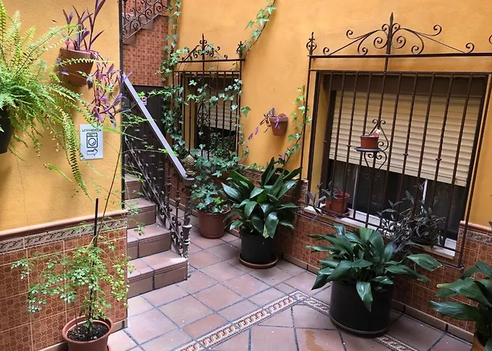 Lejlighed Estudio De 50m2, Todo Exterior Y Con Patio, Ideal Parejas, Familias Con Ninos Pequenos Y De Largas Estancias, Con Techo Abuhardillado Y De Mejores Vistas De Toledo