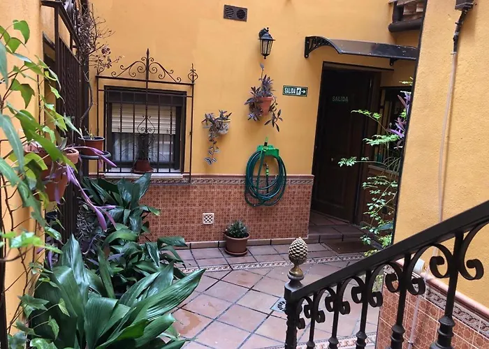 Lejlighed Estudio De 50m2, Todo Exterior Y Con Patio, Ideal Parejas, Familias Con Ninos Pequenos Y De Largas Estancias, Con Techo Abuhardillado Y De Mejores Vistas De *